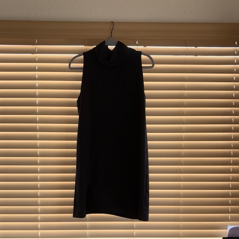 Black Turtle Neck Sleeveless Dress